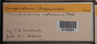 Image Associated With the Occurence